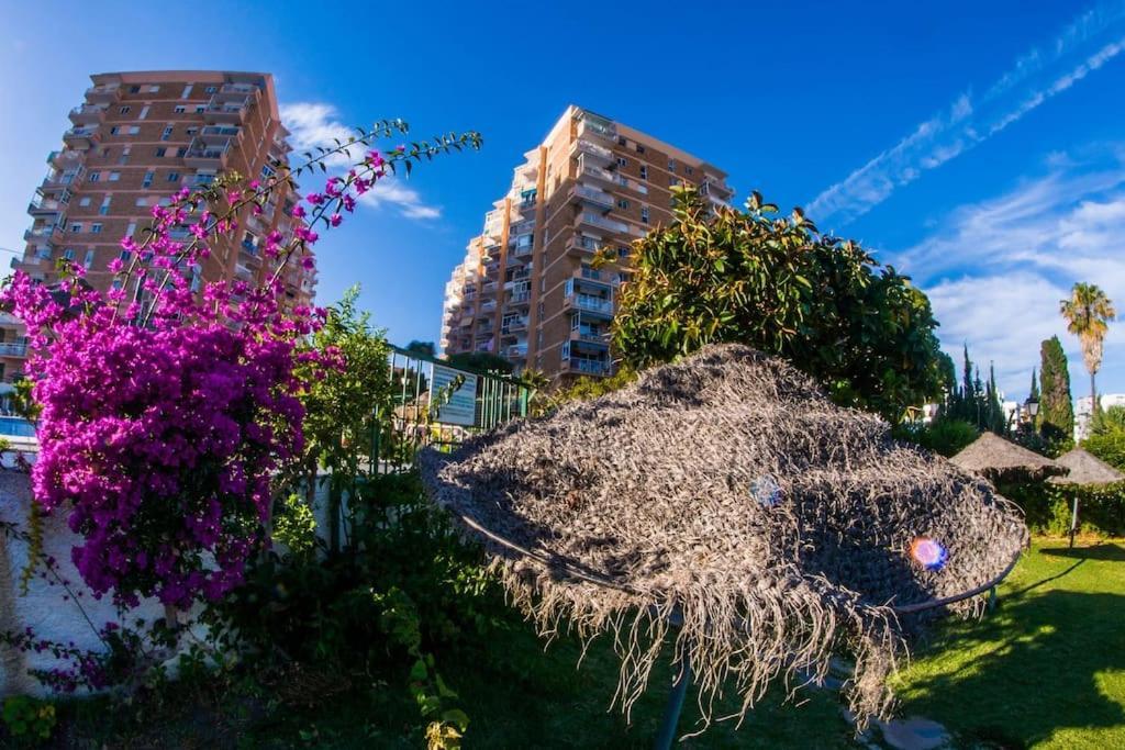 Studio Acuario Benalmadena Luaran gambar